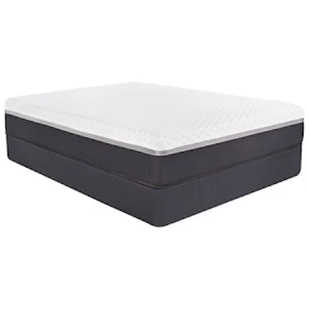 Queen 12" Hybrid Mattress and 9" Steel Box Spring